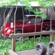 Image for article titled Here's A Tour Of One Of Japan's Best Vintage Car Museums